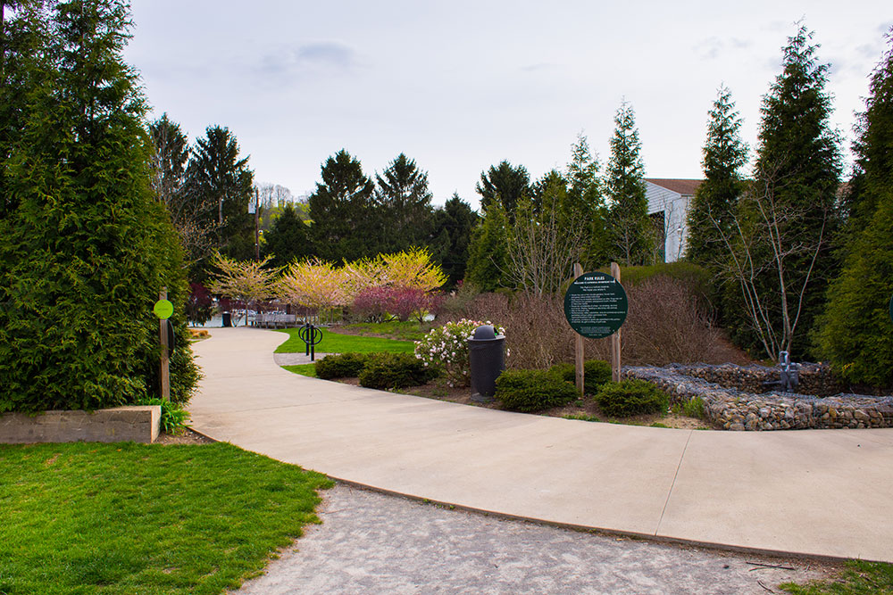 Trail with Flowers