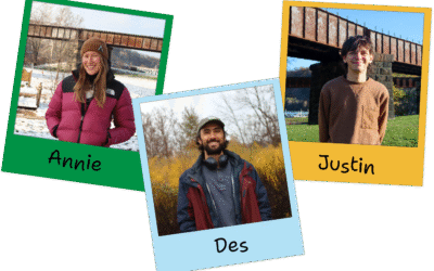 Playing it Safe as ARP Expands